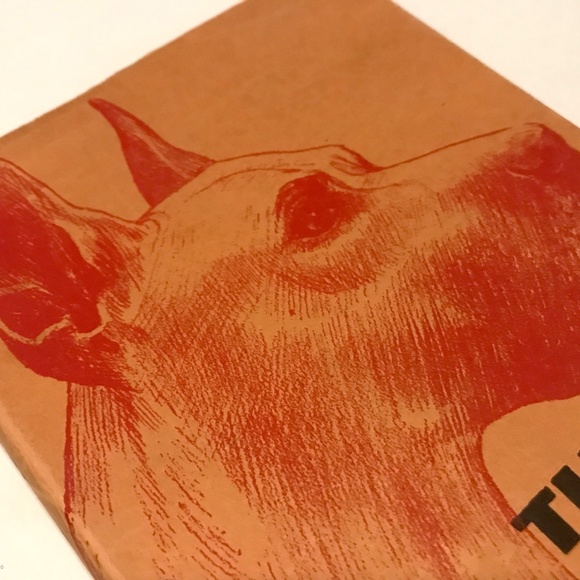 The Great Dane By D.E. Hale. 1938 Second Edition. Collectible Vintage. Hardback. - Picture 3 of 10